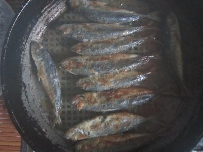 Прикрепленное изображение: IMG_0533.JPG